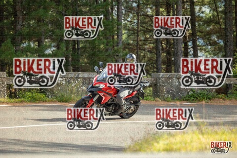 Passo del Muraglione 19-10-25 h15-14 1516