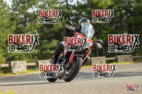 Passo del Muraglione 19-10-25 h15-14 1519