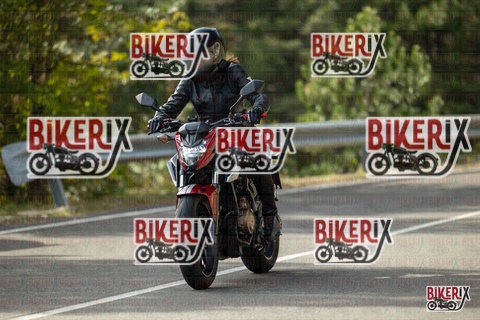 Passo del Muraglione 19-10-25 h15-18 1524