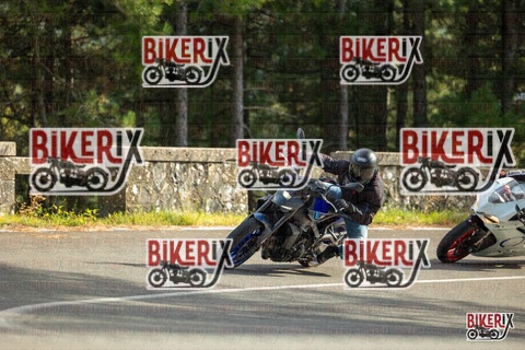 Passo del Muraglione 19-10-25 h15-19 1532