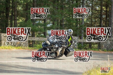 Passo del Muraglione 19-10-25 h15-24 1554