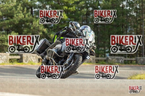 Passo del Muraglione 19-10-25 h15-24 1558