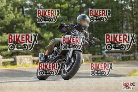 Passo del Muraglione 19-10-25 h15-24 1572