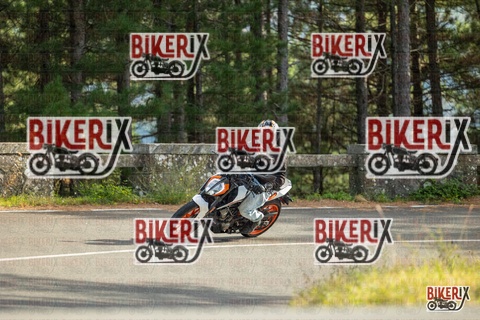 Passo del Muraglione 19-10-25 h15-24 1574