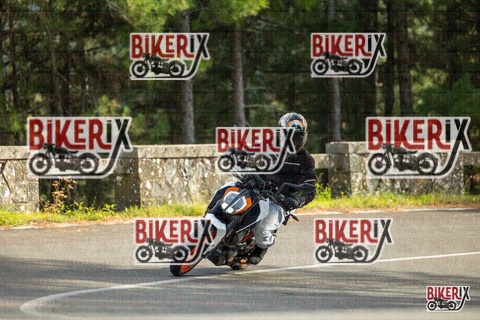 Passo del Muraglione 19-10-25 h15-24 1575