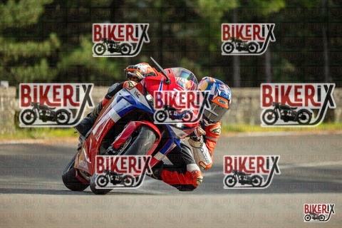 Passo del Muraglione 19-10-25 h15-25 1579