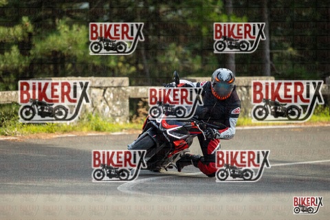 Passo del Muraglione 19-10-25 h15-27 1583