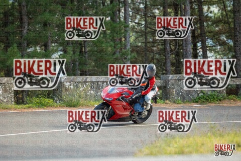 Passo del Muraglione 19-10-25 h15-28 1588