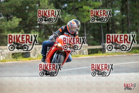 Passo del Muraglione 19-10-25 h15-28 1590