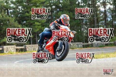 Passo del Muraglione 19-10-25 h15-28 1591