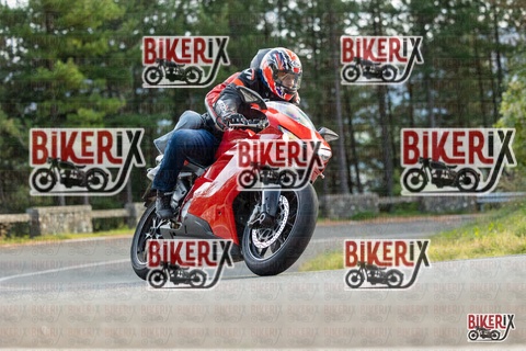 Passo del Muraglione 19-10-25 h15-28 1592