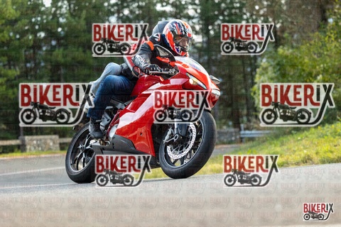 Passo del Muraglione 19-10-25 h15-28 1593