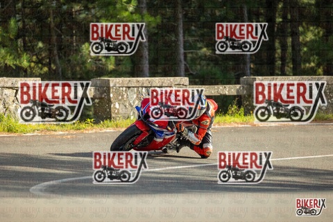 Passo del Muraglione 19-10-25 h15-31 1607