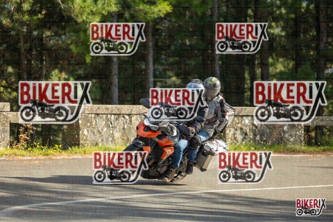 Passo del Muraglione 19-10-25 h15-36 1631