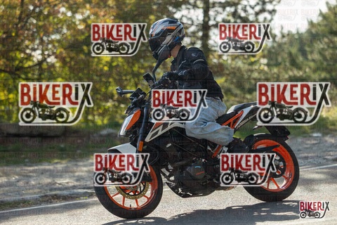 Passo del Muraglione 19-10-25 h15-42 1664