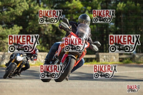 Passo del Muraglione 19-10-25 h15-50 1685