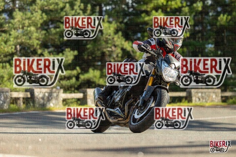 Passo del Muraglione 19-10-25 h15-50 1686