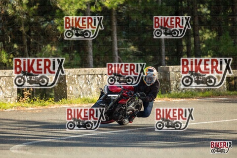 Passo del Muraglione 19-10-25 h15-55 1719