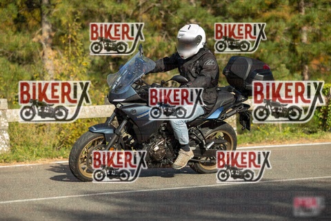 Passo del Muraglione 19-10-25 h16-03 1766