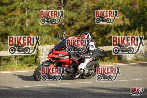 Passo del Muraglione 19-10-25 h16-03 1771