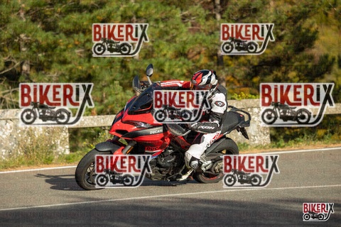 Passo del Muraglione 19-10-25 h16-03 1772