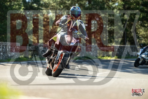 Passo del Muraglione 20-09-25 h10-00 0052