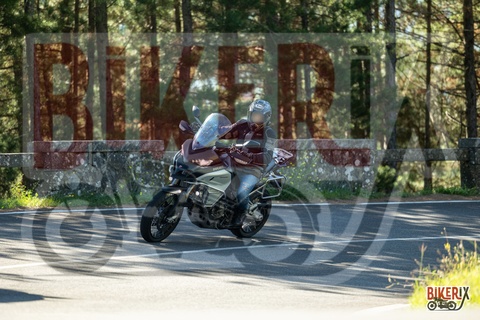 Passo del Muraglione 20-09-25 h10-32 0229