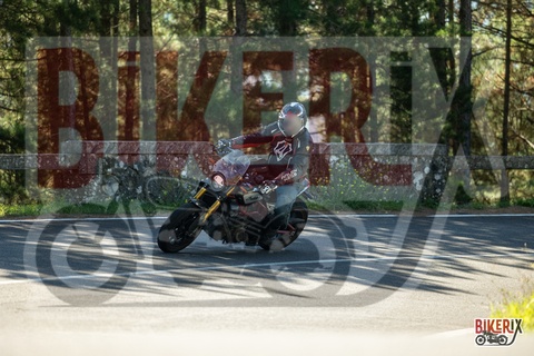 Passo del Muraglione 20-09-25 h11-09 0589