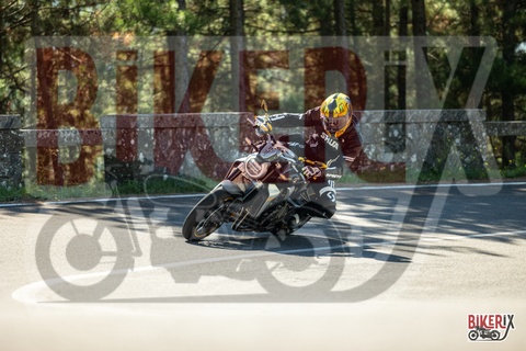 Passo del Muraglione 20-09-25 h11-15 0677