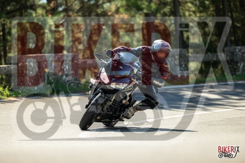 Passo del Muraglione 20-09-25 h11-23 0755