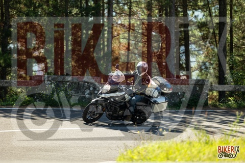 Passo del Muraglione 20-09-25 h11-57 1016