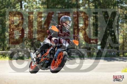 Passo del Muraglione 20-09-25 h12-12 1139