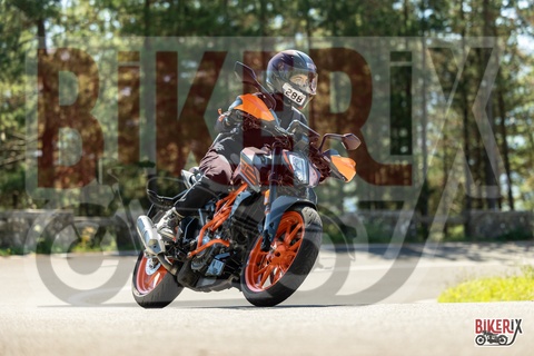 Passo del Muraglione 20-09-25 h12-12 1140