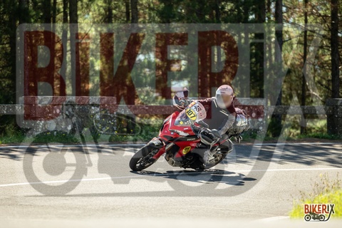 Passo del Muraglione 20-09-25 h12-12 1142