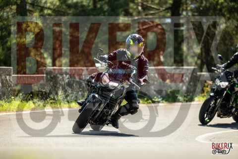 Passo del Muraglione 20-09-25 h12-19 1183