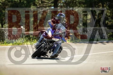 Passo del Muraglione 20-09-25 h12-20 1193