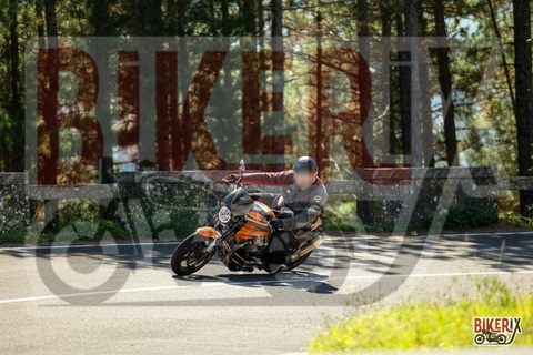 Passo del Muraglione 20-09-25 h12-21 1205