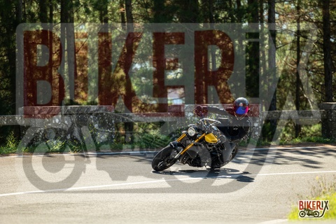 Passo del Muraglione 20-09-25 h12-28 1246