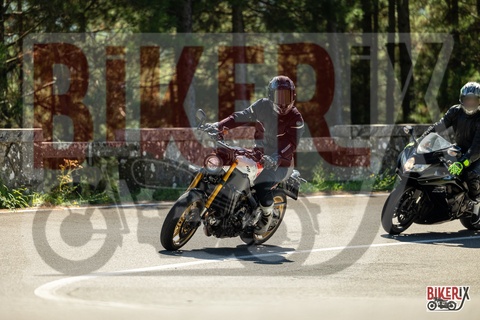 Passo del Muraglione 20-09-25 h12-29 1263