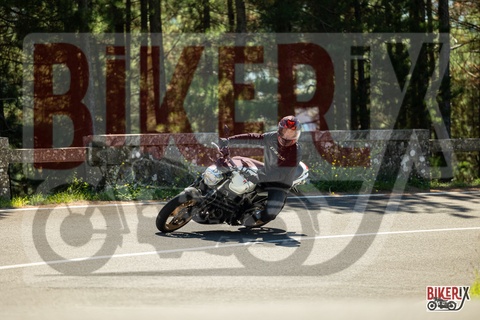 Passo del Muraglione 20-09-25 h12-35 1296