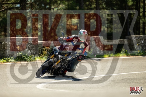 Passo del Muraglione 20-09-25 h12-35 1299