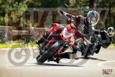 Passo del Muraglione 20-09-25 h12-46 1391