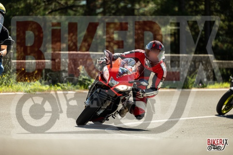 Passo del Muraglione 20-09-25 h12-50 1446