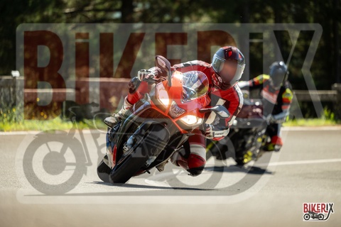 Passo del Muraglione 20-09-25 h12-50 1447