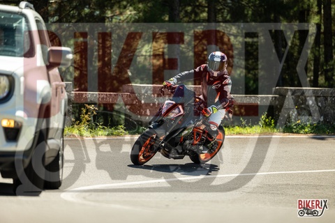 Passo del Muraglione 20-09-25 h12-50 1451