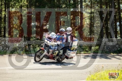 Passo del Muraglione 20-09-25 h12-55 1483