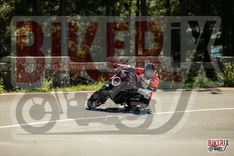 Passo del Muraglione 20-09-25 h13-04 1557