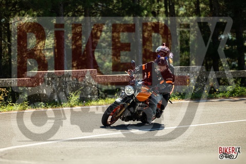 Passo del Muraglione 20-09-25 h13-04 1563