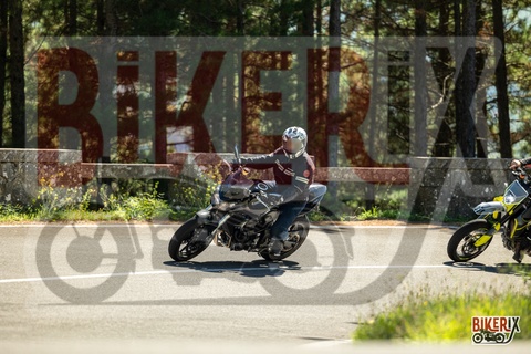 Passo del Muraglione 20-09-25 h13-27 1652