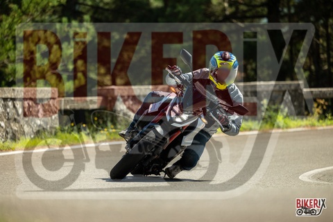 Passo del Muraglione 20-09-25 h13-34 1694